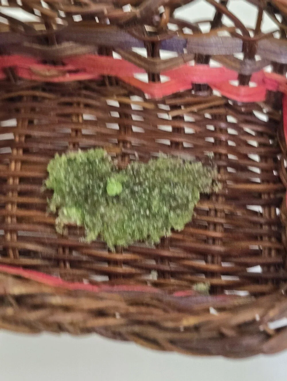vintage Mini Wicker Boho Tricycle Plant Planter 4
